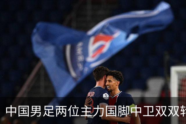 中国男足两位主力国脚中卫双双转会山东足坛，新赛季挑起重担引关注